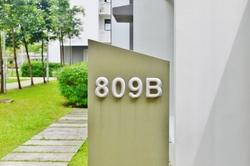 Blk 809B Choa Chu Kang Avenue 1 (Choa Chu Kang), HDB 2 Rooms #268214931